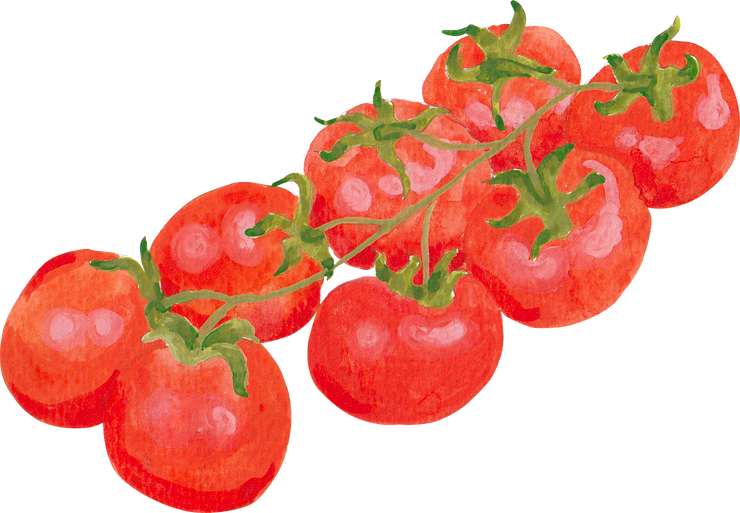 Watercolor Italian Food Tomato